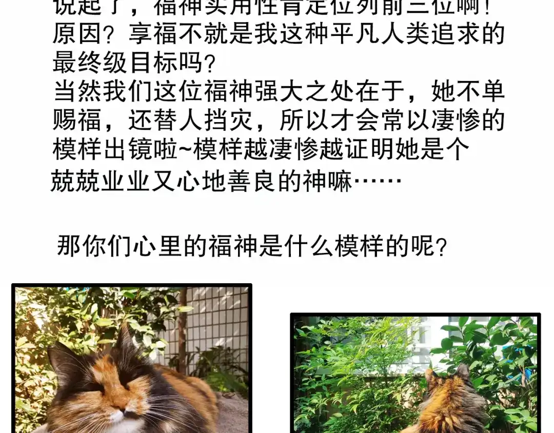 《山神与小枣》第66话 御姐福神强撩猷离 第108页