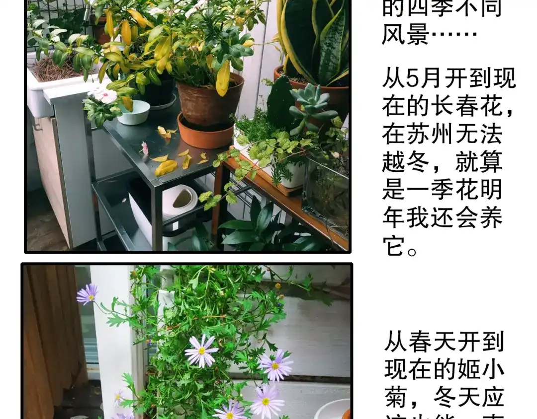 《山神与小枣》第67话 小枣的爱心巧克力 第92页