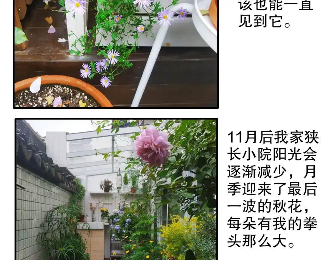 《山神与小枣》第67话 小枣的爱心巧克力 第93页