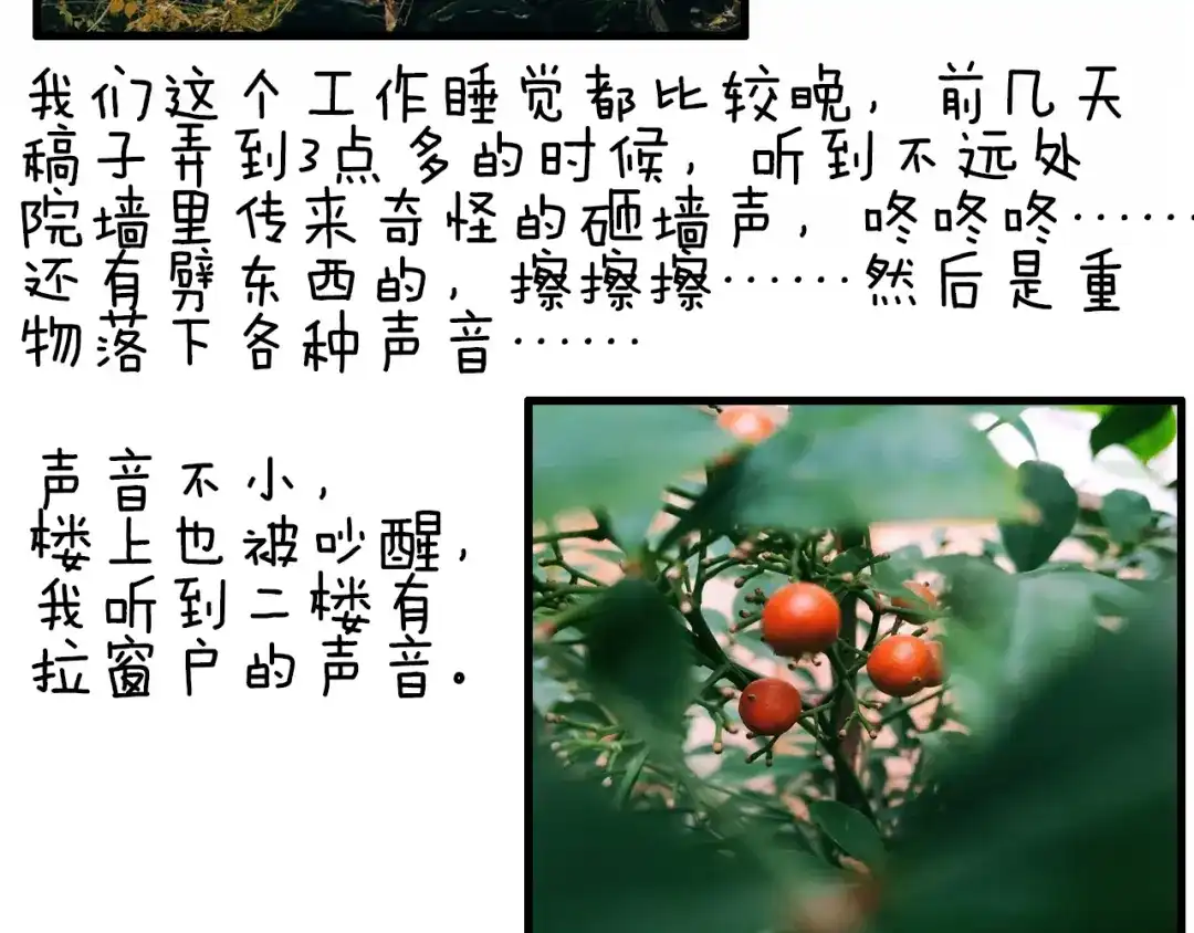 《山神与小枣》第68话 山神误服烦心果 第102页