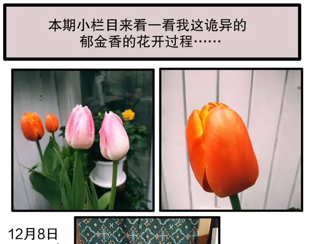 《山神与小枣》第69话 山神大人不清醒 第110页