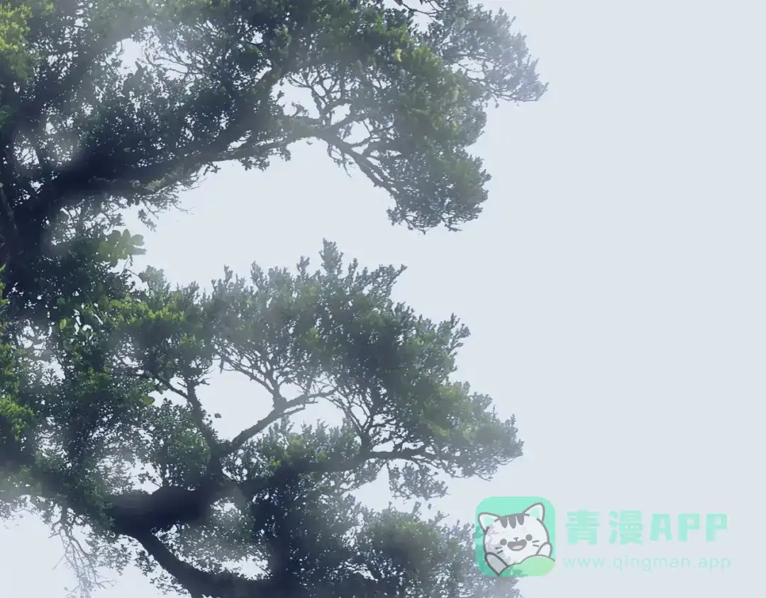 《山神与小枣》第69话 山神大人不清醒 第56页