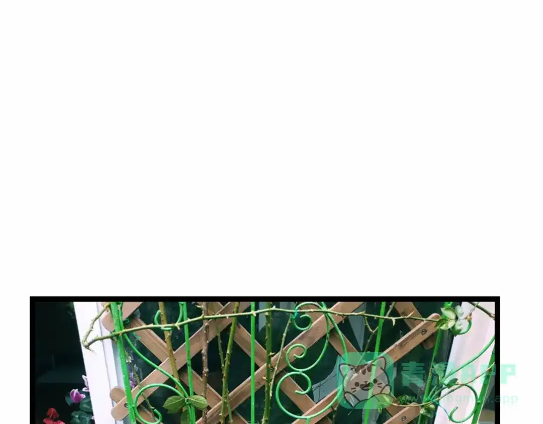 《山神与小枣》第75回 山神的给予 第116页