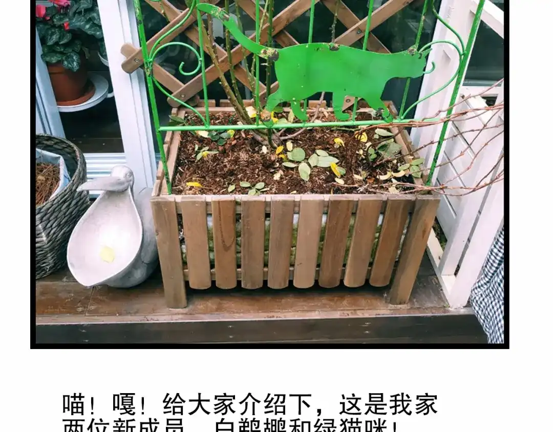 《山神与小枣》第75回 山神的给予 第117页