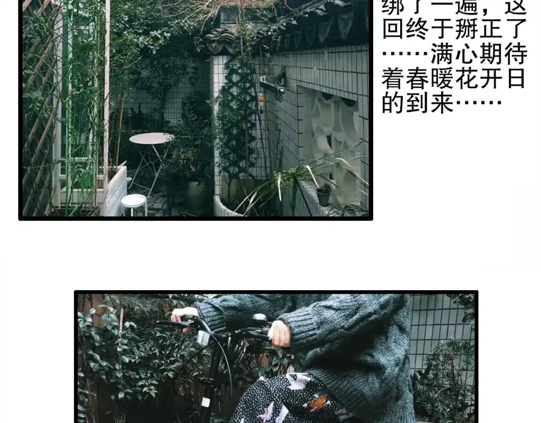 《山神与小枣》第77回 请山神娘娘就寝 第85页