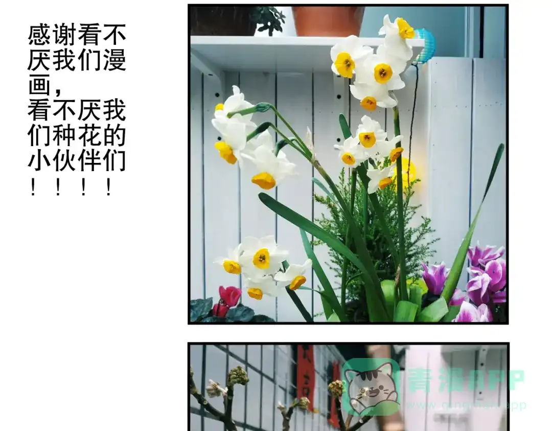 《山神与小枣》第78回 清心寡欲的石头神 第66页