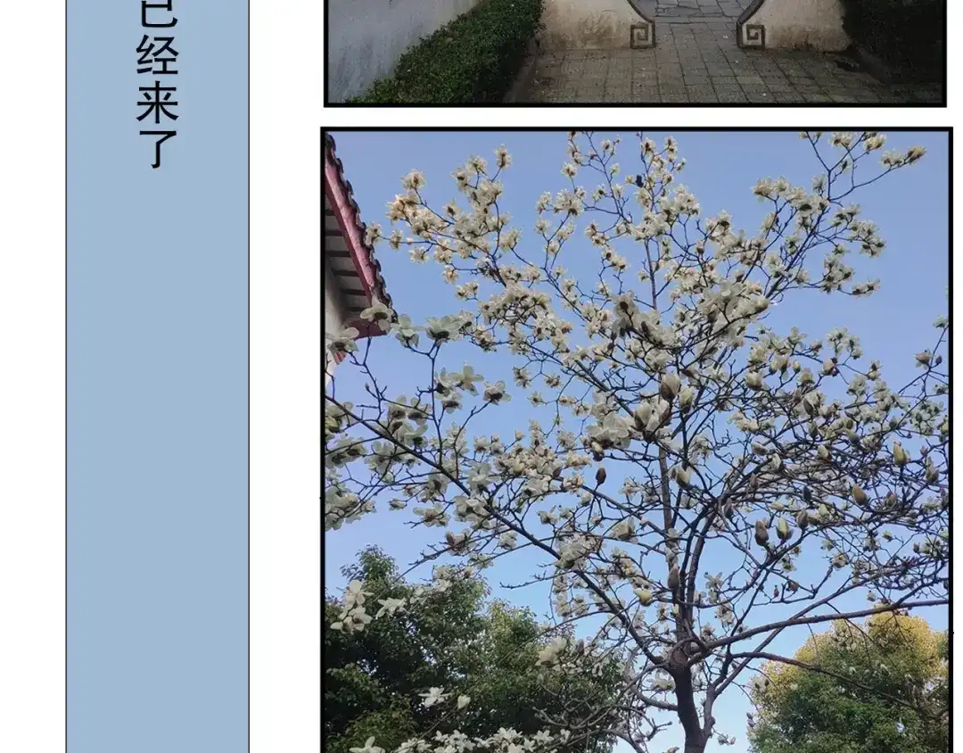 《山神与小枣》第79回 被爱的感觉 第77页