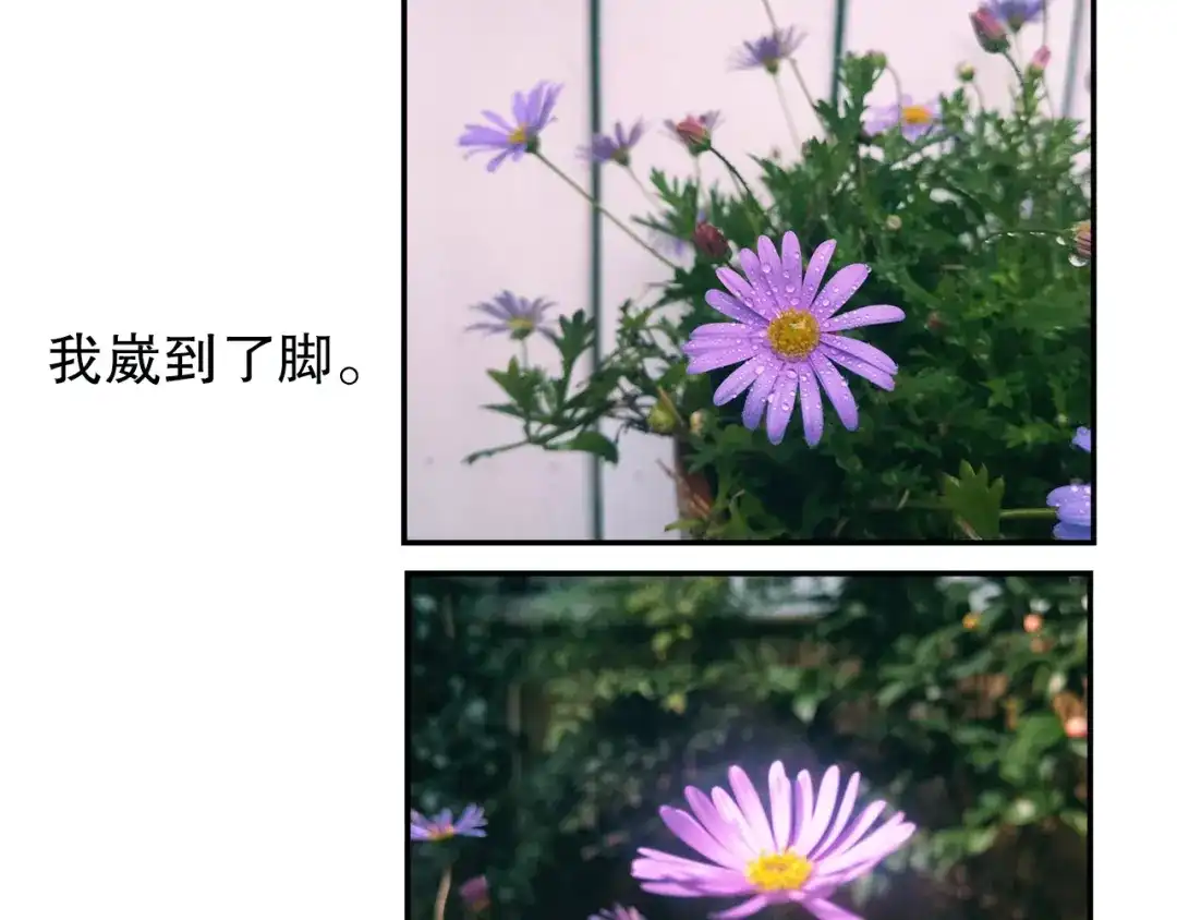 《山神与小枣》第79回 被爱的感觉 第80页