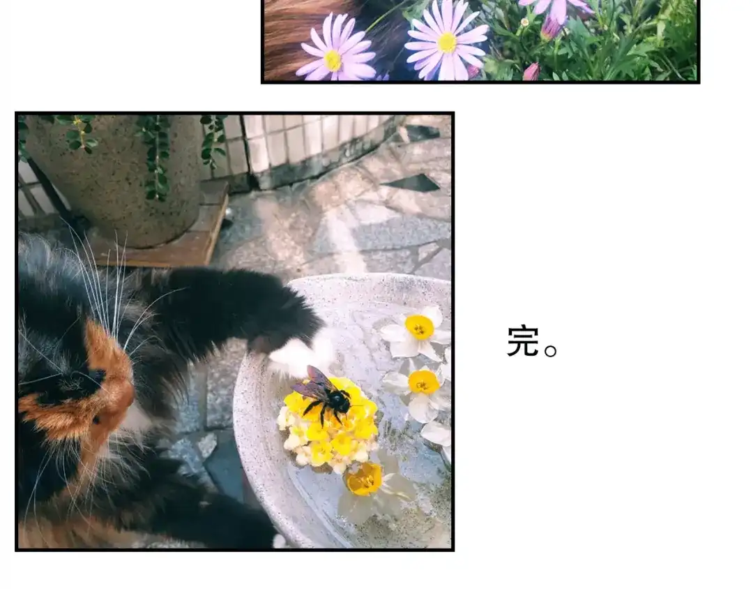 《山神与小枣》第79回 被爱的感觉 第82页