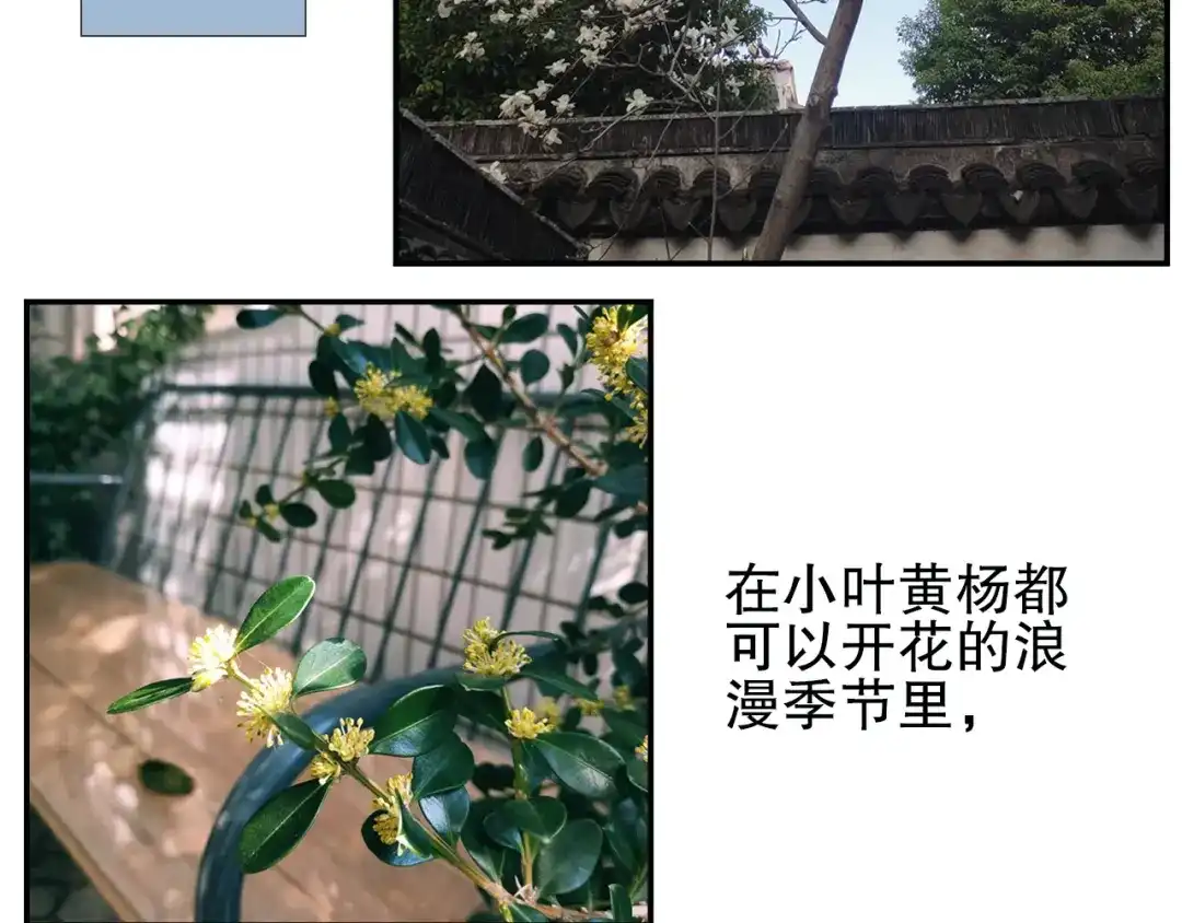 《山神与小枣》第79回 被爱的感觉 第78页