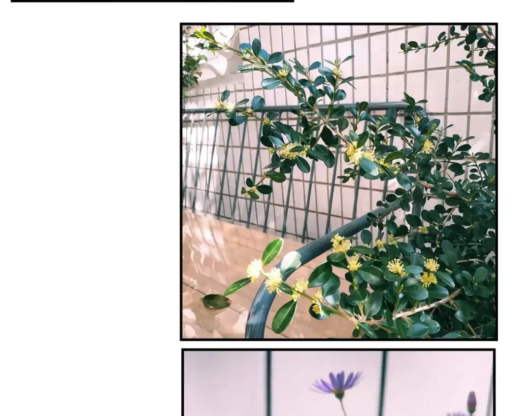 《山神与小枣》第79回 被爱的感觉 第79页