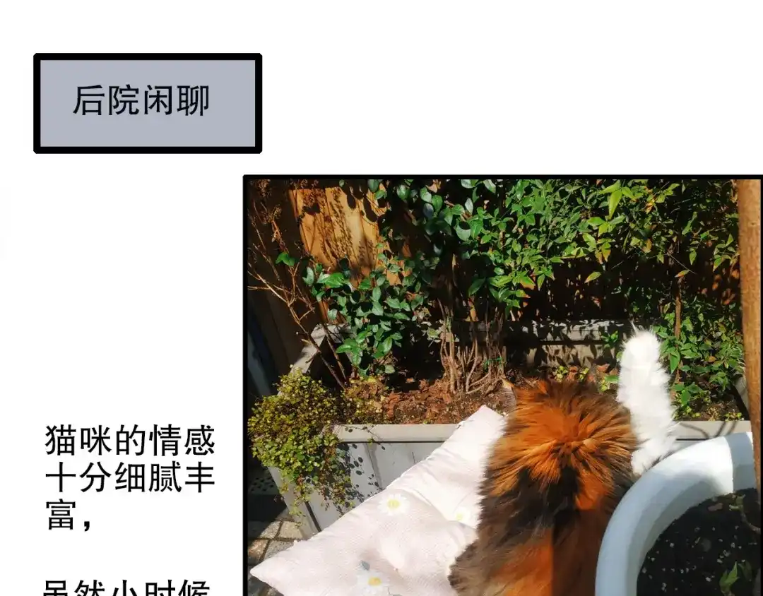 《山神与小枣》第80回 不同于凡间的恋爱 第68页