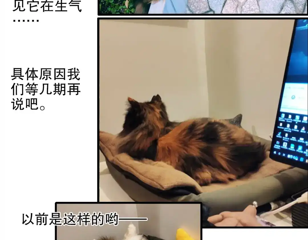 《山神与小枣》第80回 不同于凡间的恋爱 第70页