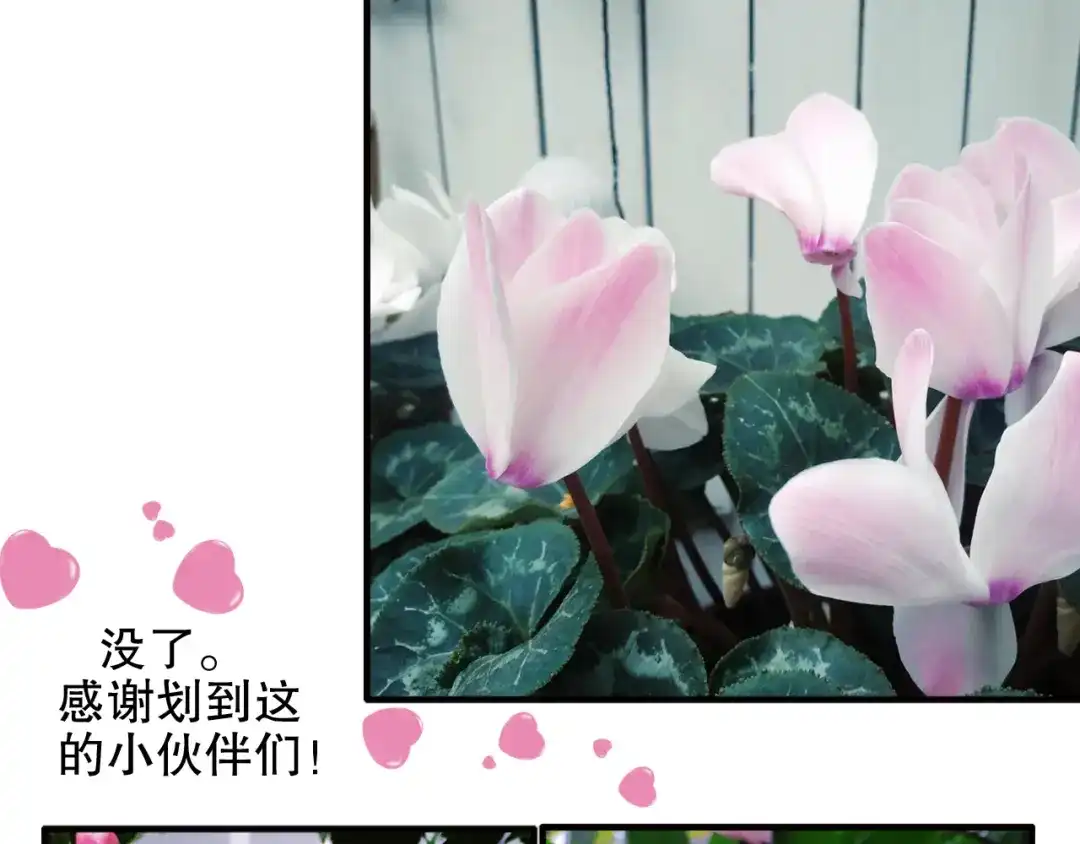 《山神与小枣》第81回 你年纪小以后再说 第72页
