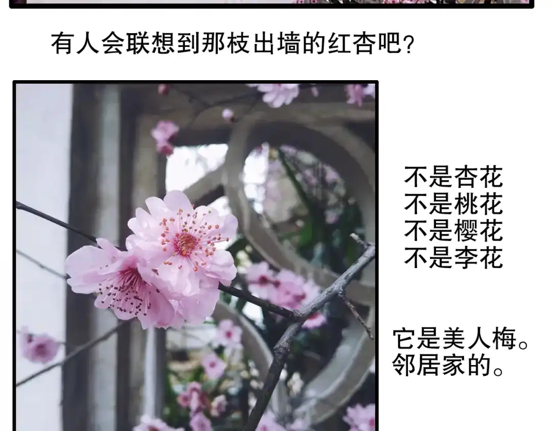 《山神与小枣》第81回 你年纪小以后再说 第68页