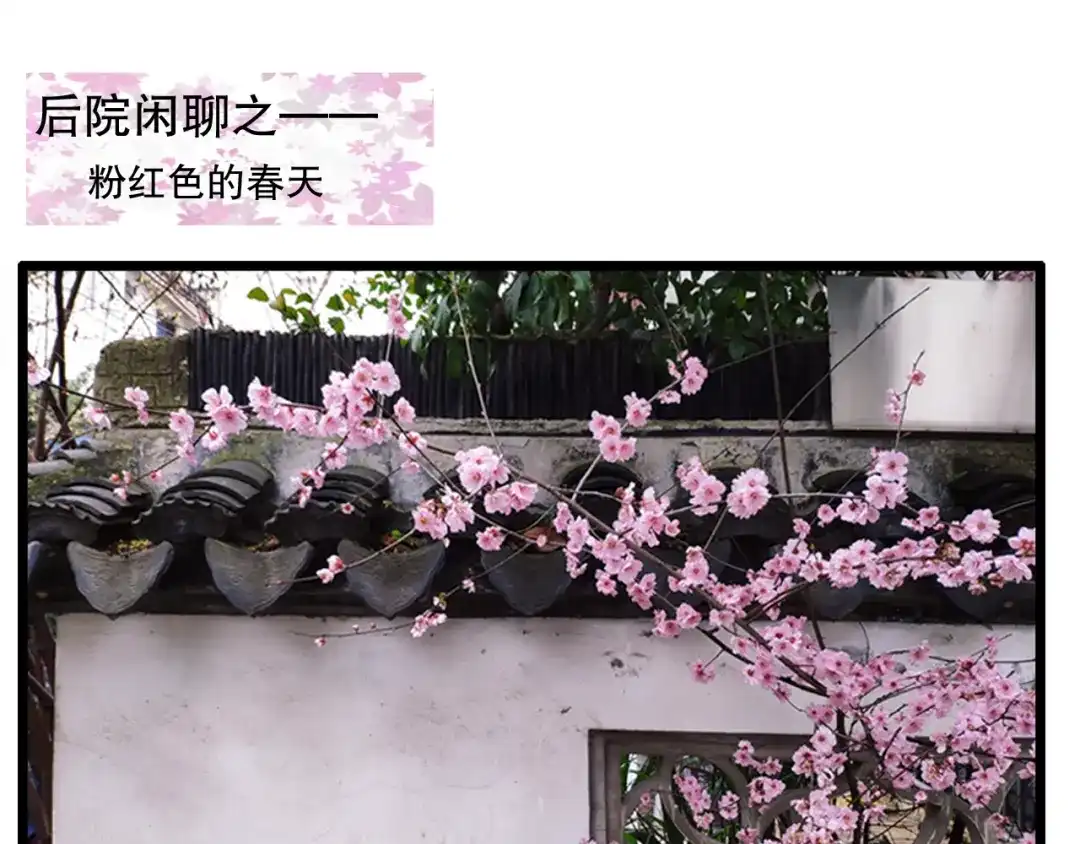 《山神与小枣》第81回 你年纪小以后再说 第67页