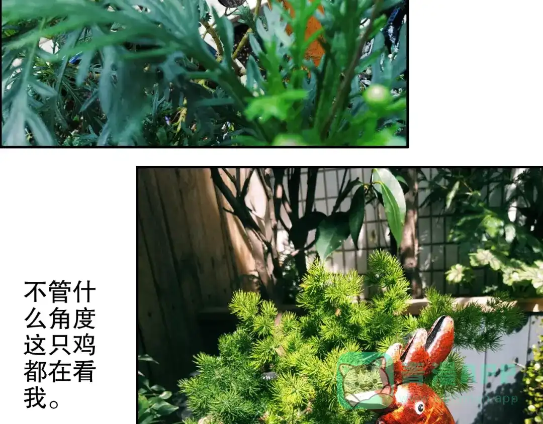 《山神与小枣》第82回 山神强行解开封印 第91页