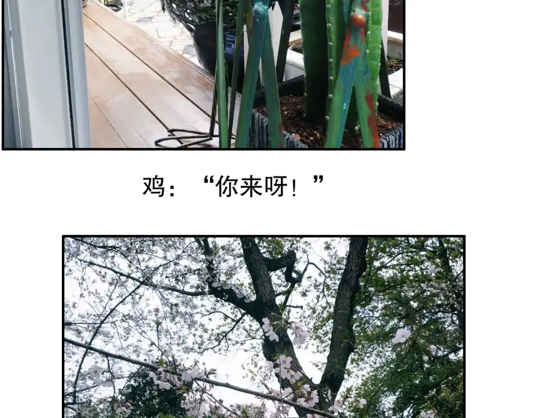 《山神与小枣》第82回 山神强行解开封印 第93页