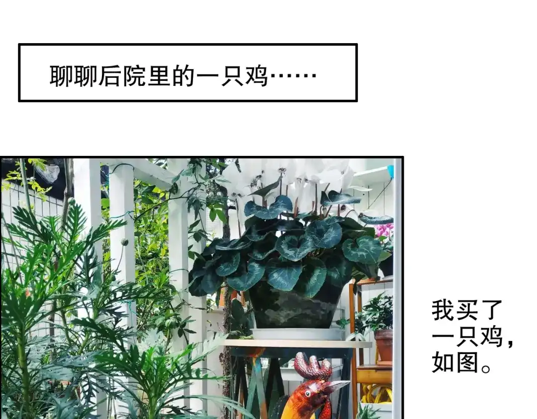 《山神与小枣》第82回 山神强行解开封印 第88页