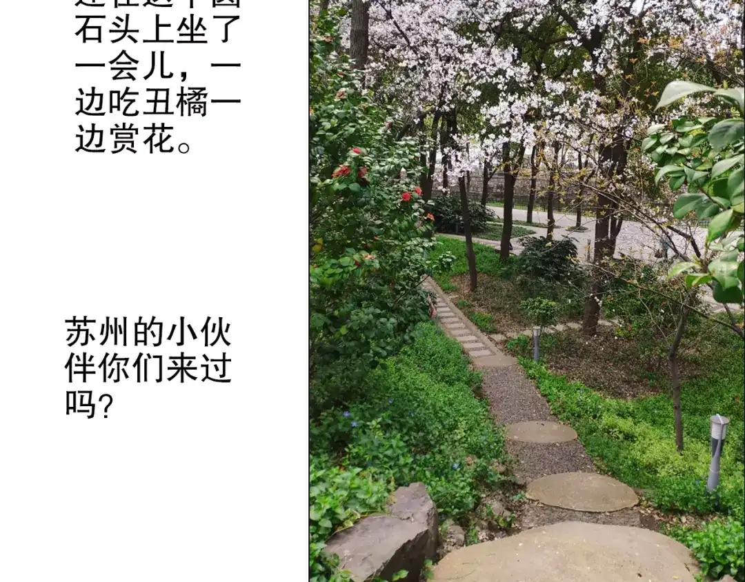 《山神与小枣》第83回 山神见小枣妈妈了 第77页