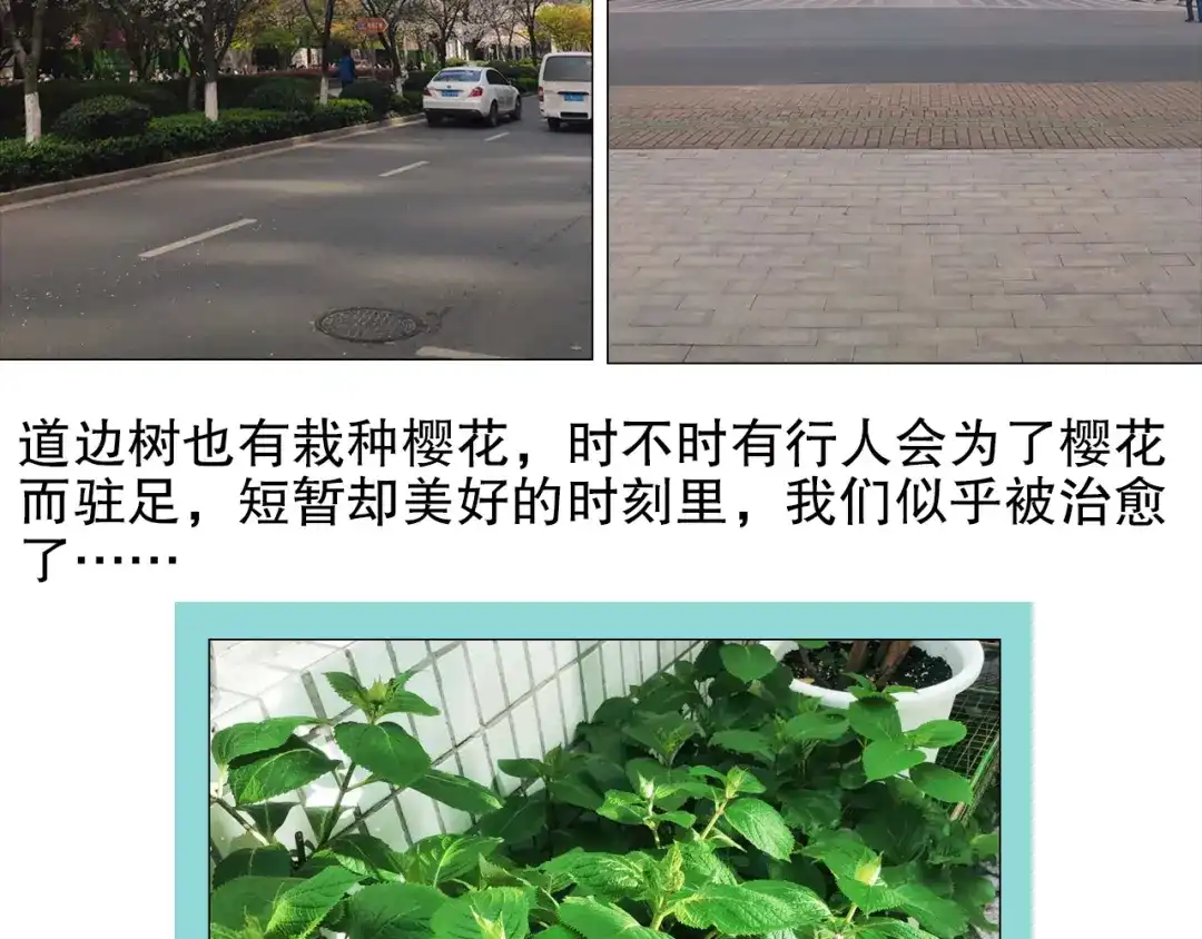 《山神与小枣》第83回 山神见小枣妈妈了 第79页