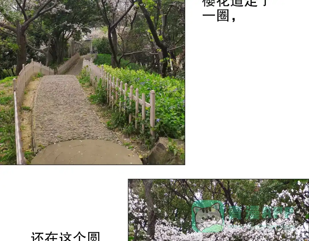 《山神与小枣》第83回 山神见小枣妈妈了 第76页
