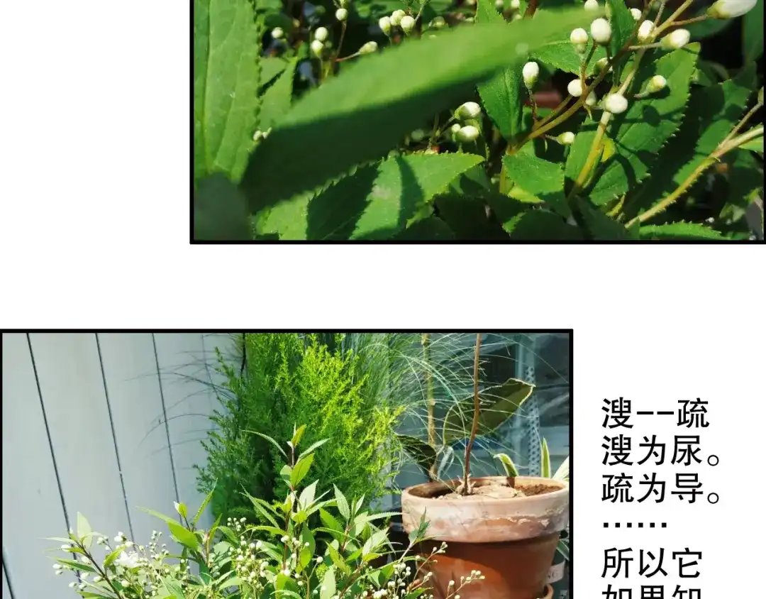 《山神与小枣》第84回 尴尬瞬间被撞见 第85页