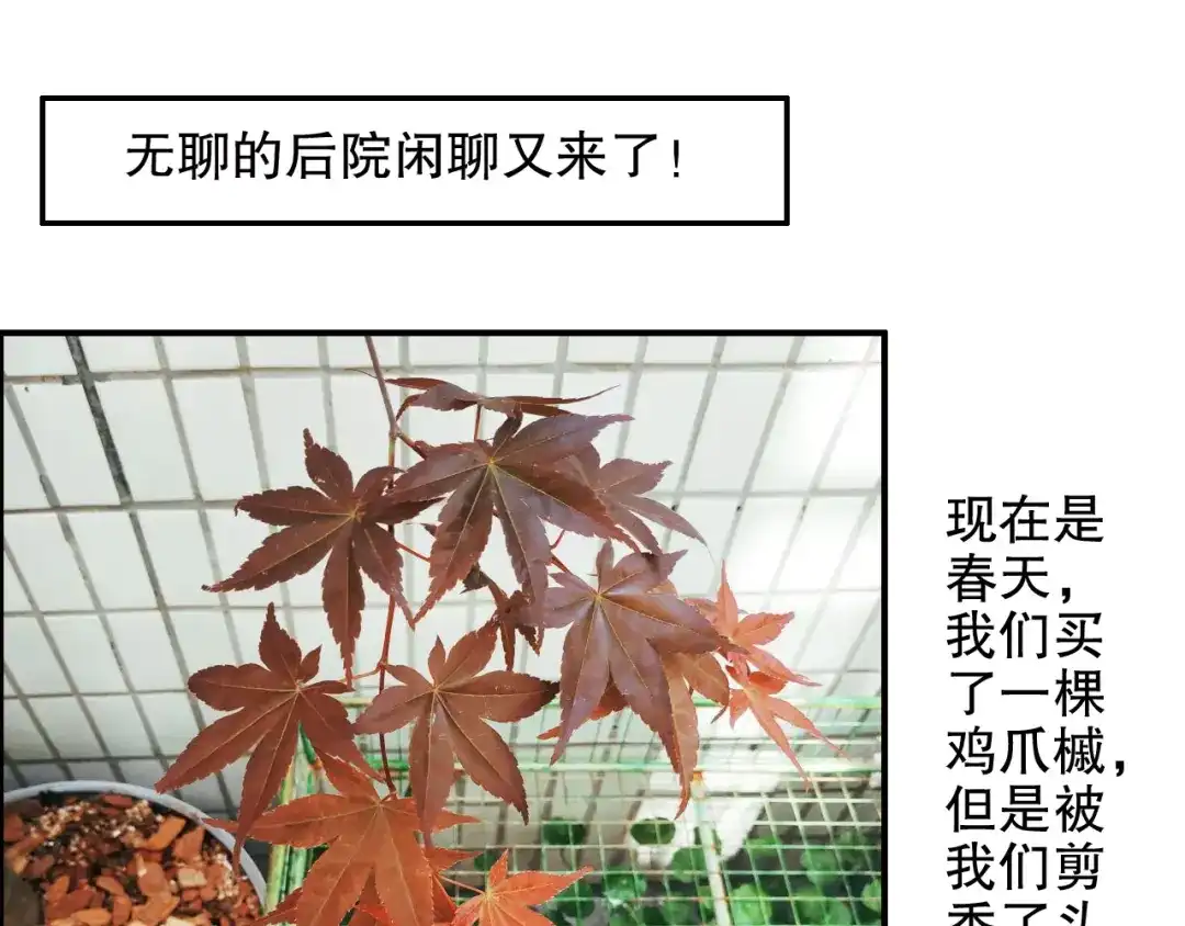 《山神与小枣》第84回 尴尬瞬间被撞见 第83页