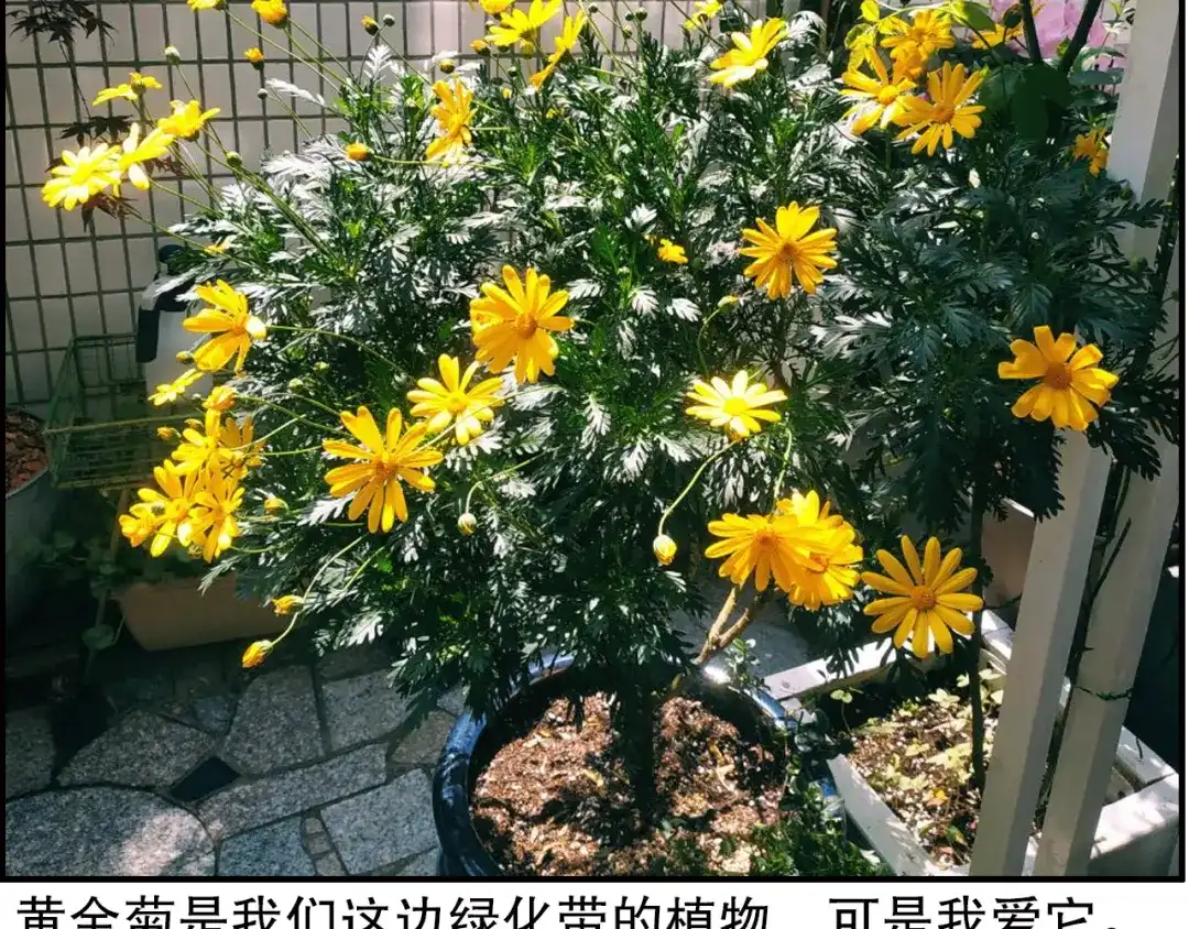 《山神与小枣》第84回 尴尬瞬间被撞见 第87页