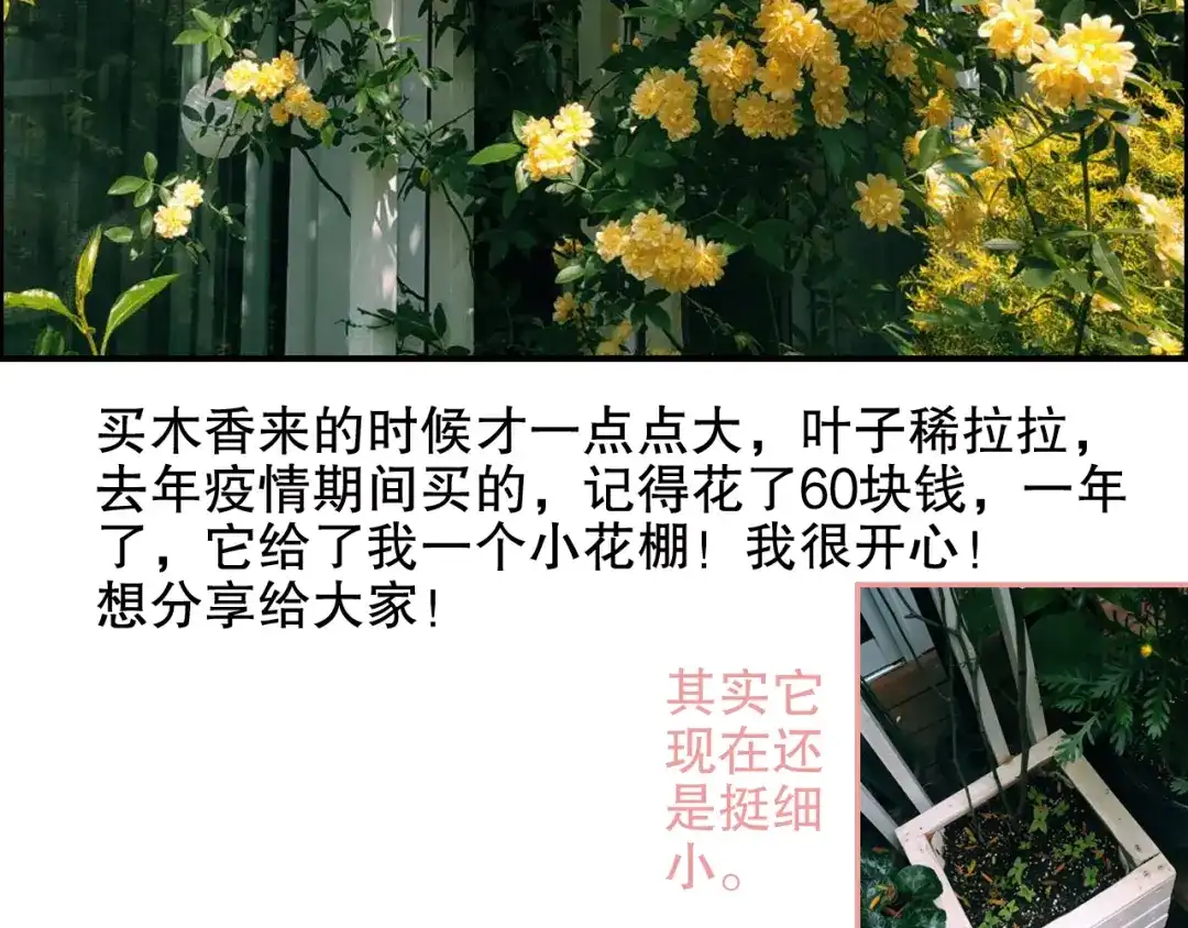 《山神与小枣》第84回 尴尬瞬间被撞见 第89页