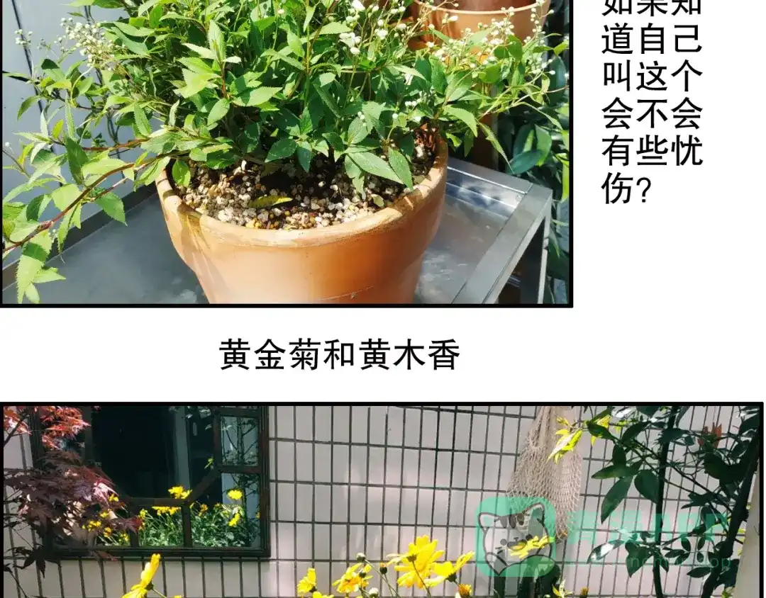 《山神与小枣》第84回 尴尬瞬间被撞见 第86页