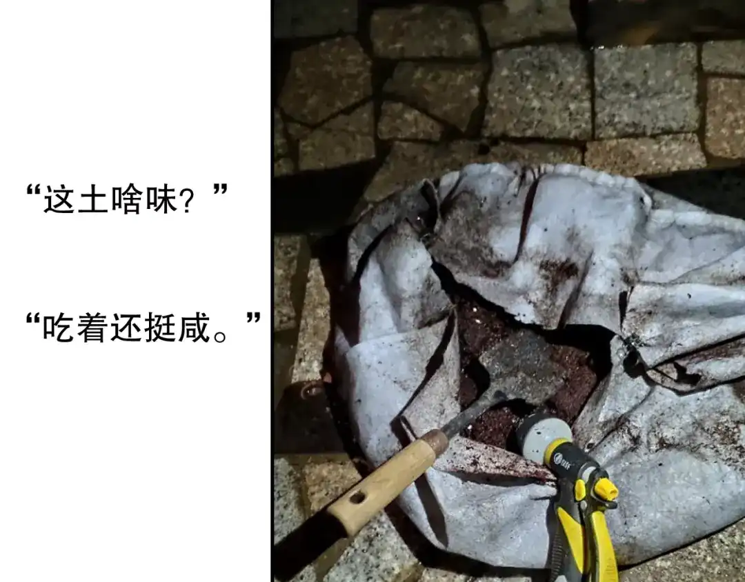 《山神与小枣》第85回 小枣的决定 第95页