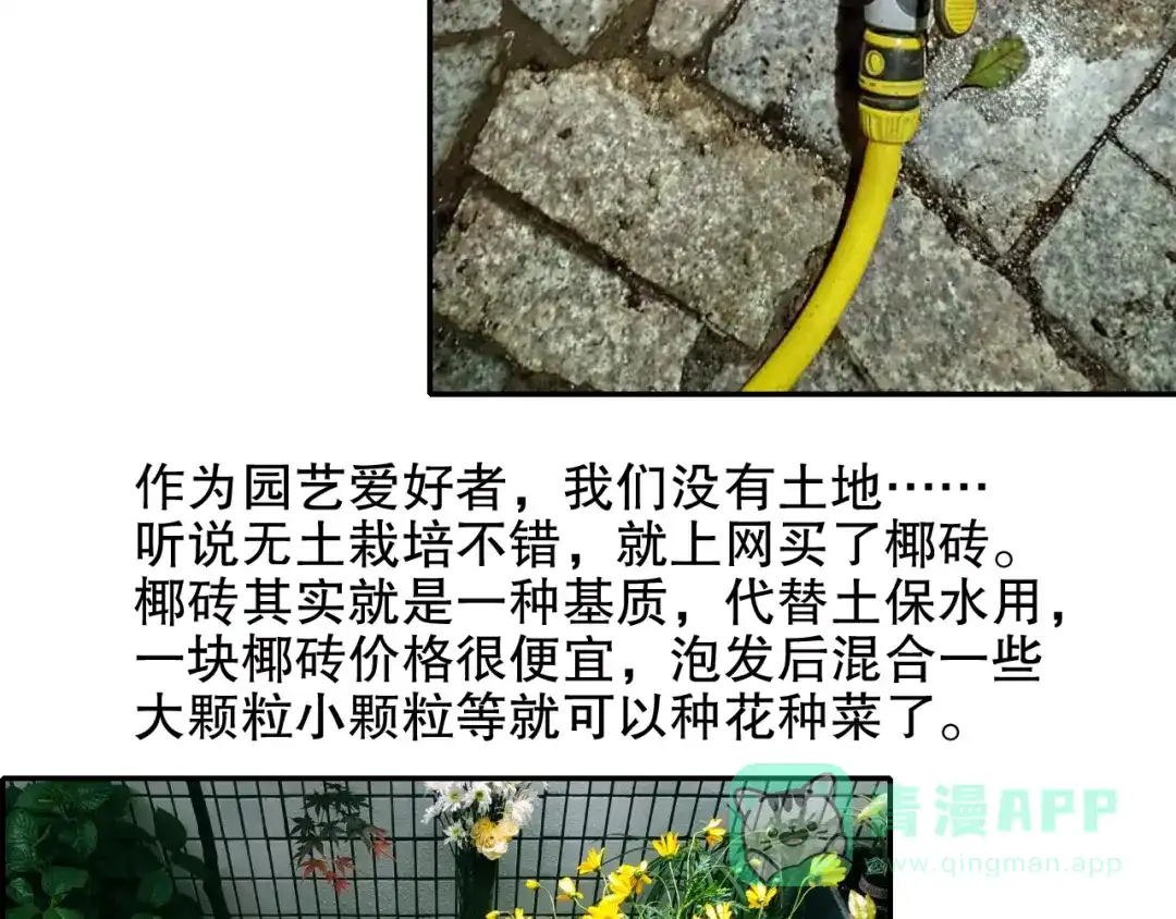 《山神与小枣》第85回 小枣的决定 第96页