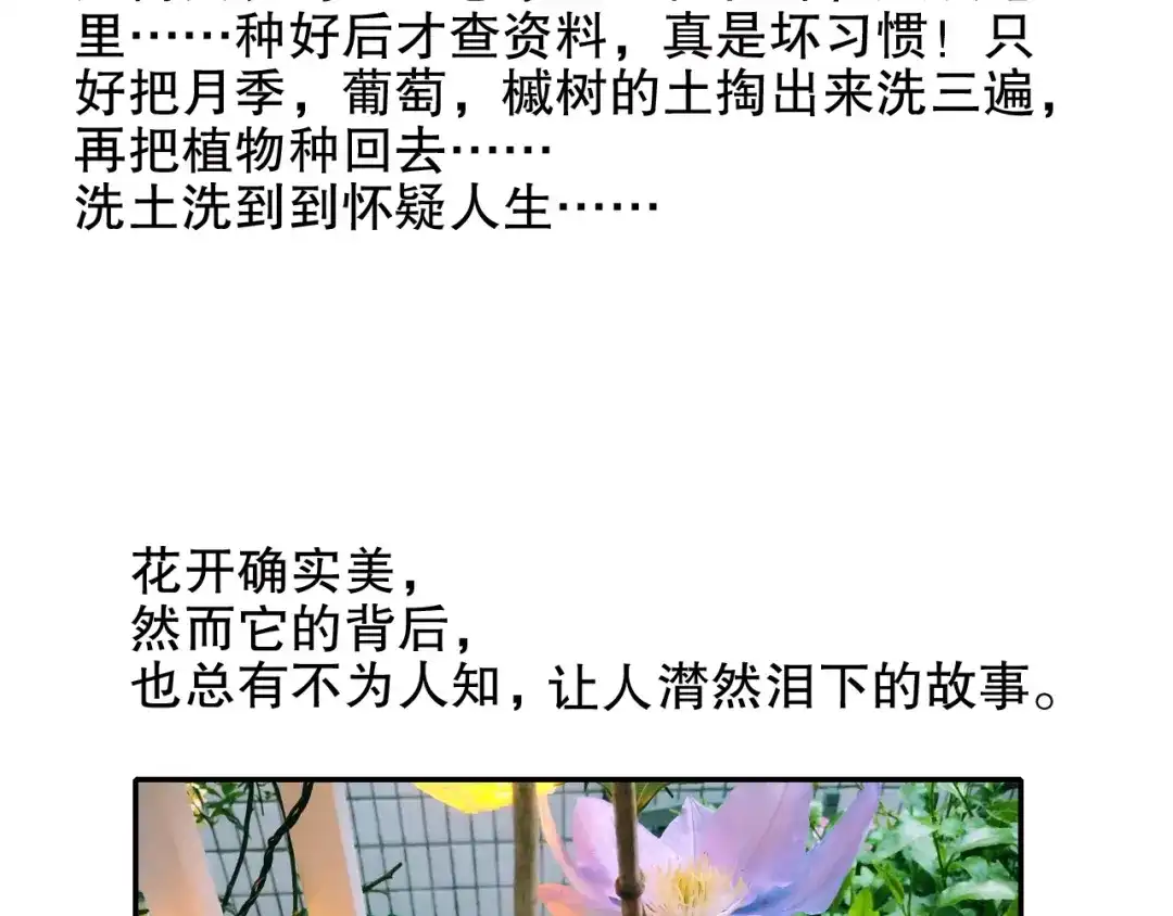 《山神与小枣》第85回 小枣的决定 第98页