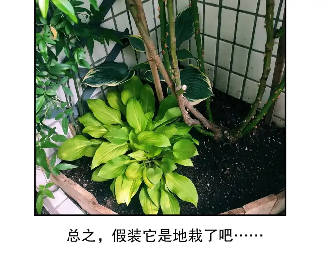 《山神与小枣》第86回 抑郁的福娃 第94页