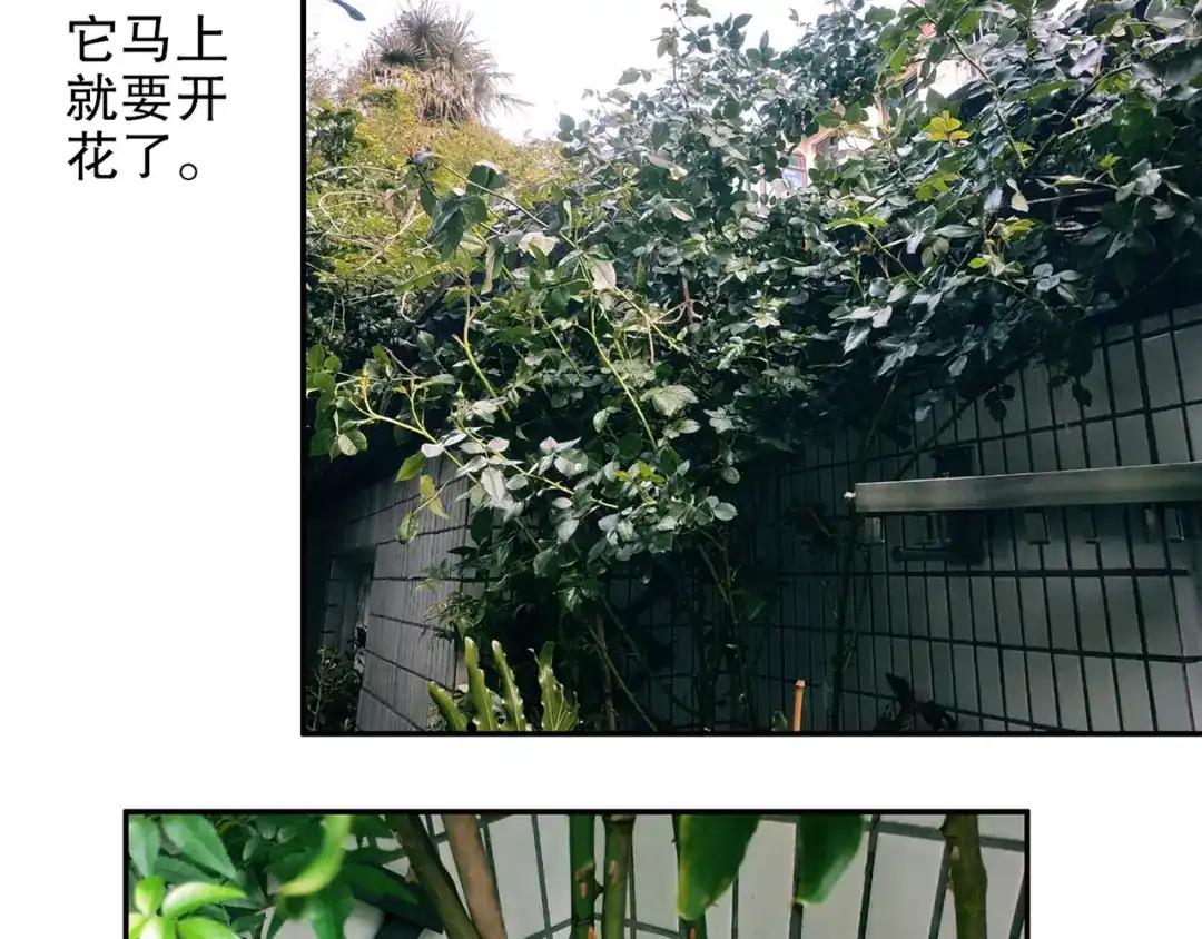 《山神与小枣》第86回 抑郁的福娃 第93页