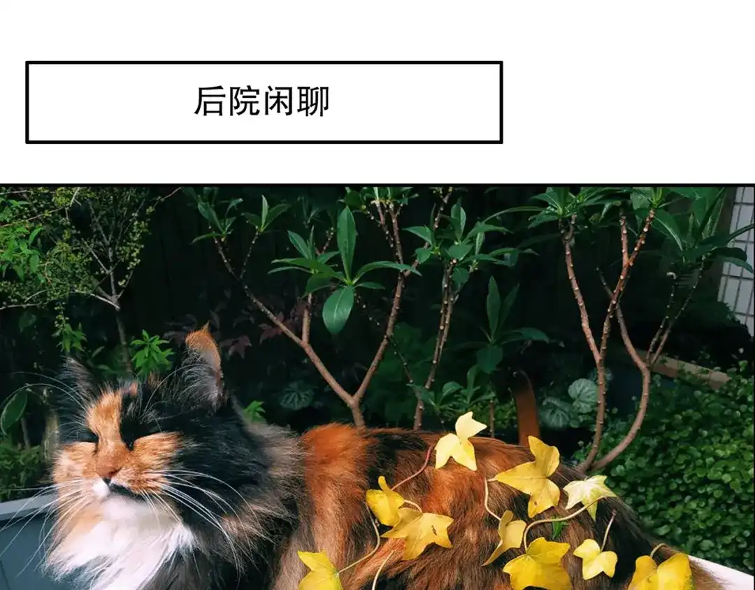 《山神与小枣》第86回 抑郁的福娃 第90页