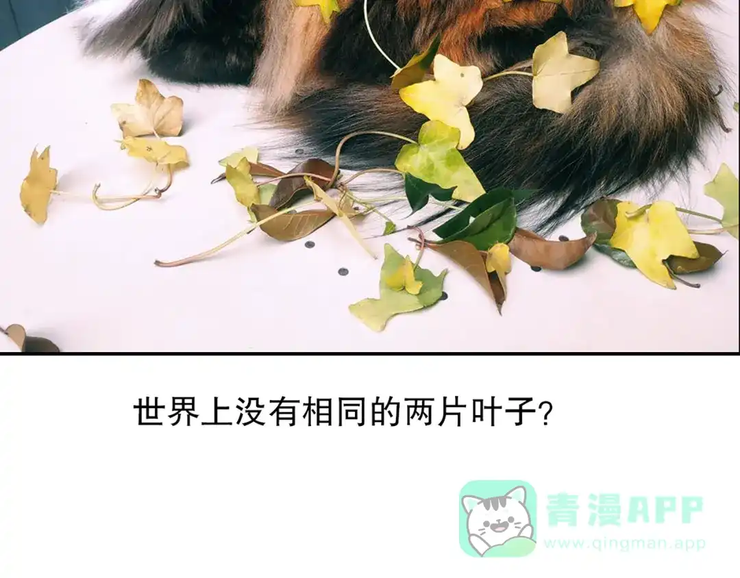 《山神与小枣》第86回 抑郁的福娃 第91页