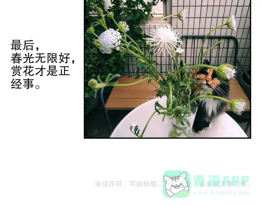 《山神与小枣》第86回 抑郁的福娃 第96页