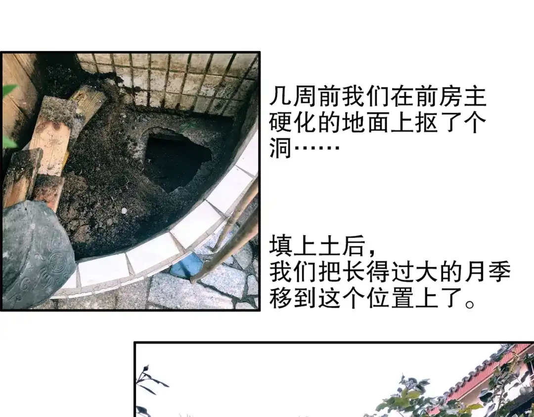 《山神与小枣》第86回 抑郁的福娃 第92页