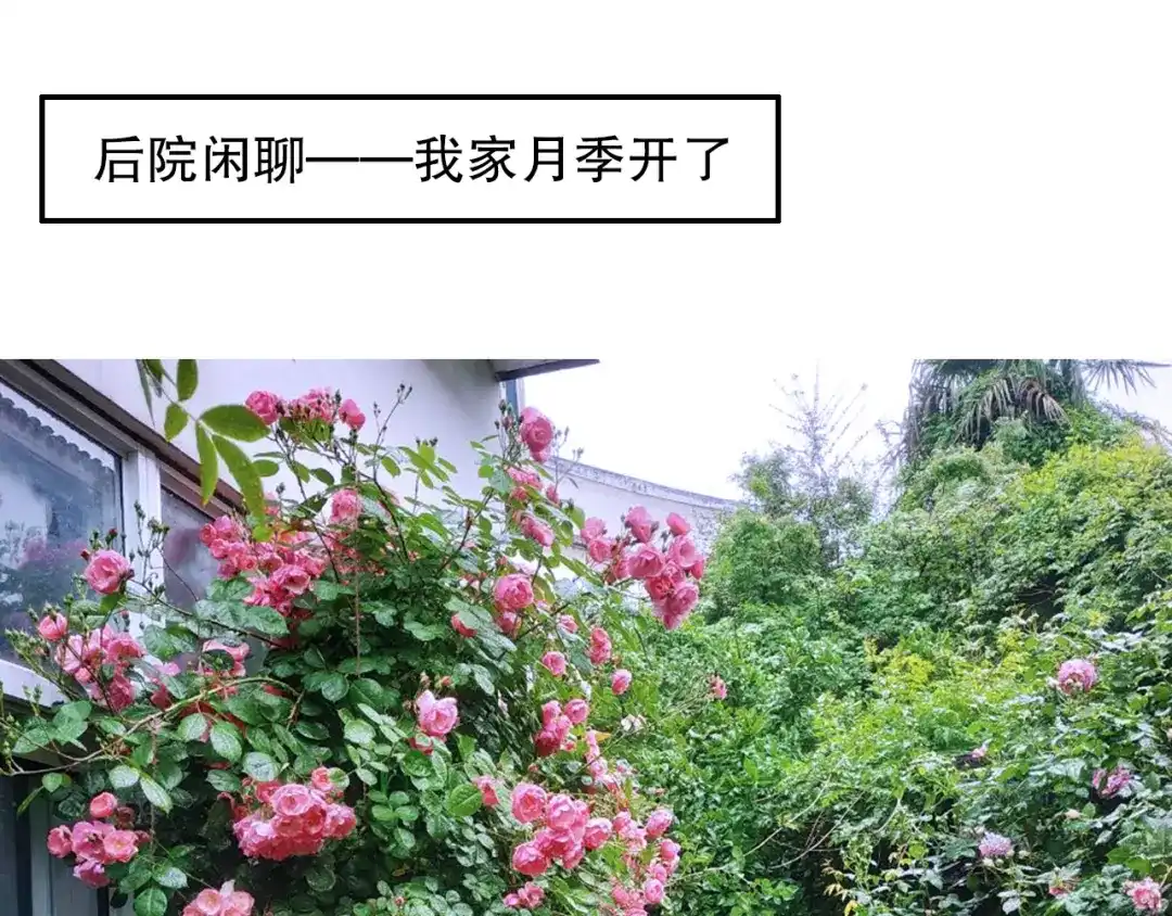 《山神与小枣》第87回 福神花富贵现真身 第84页