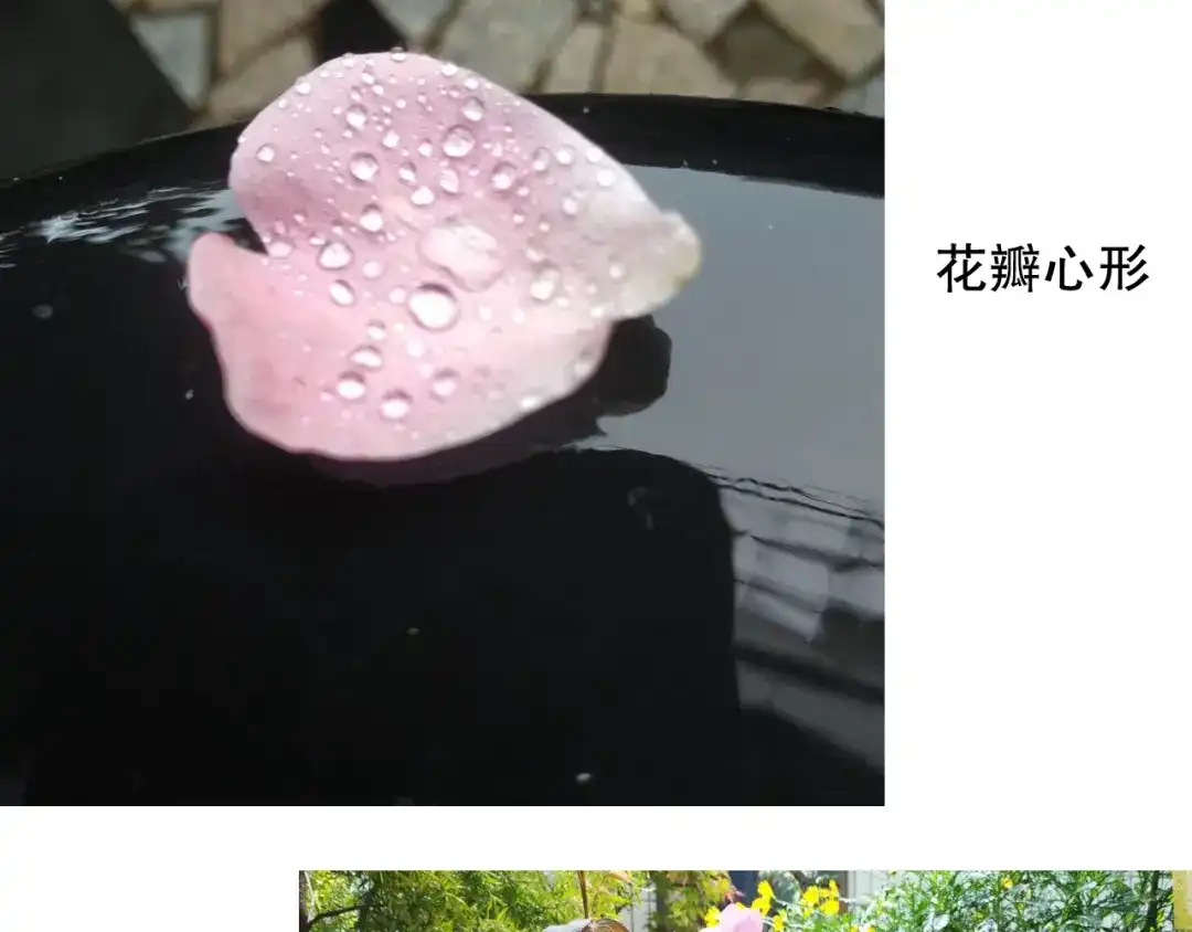 《山神与小枣》第87回 福神花富贵现真身 第88页