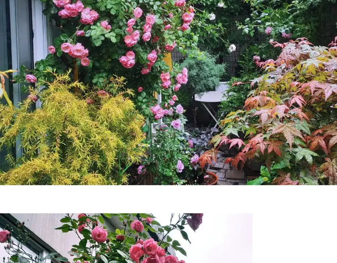 《山神与小枣》第87回 福神花富贵现真身 第85页