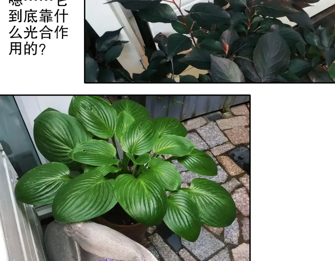 《山神与小枣》第88回 让自己开心有什么错? 第82页