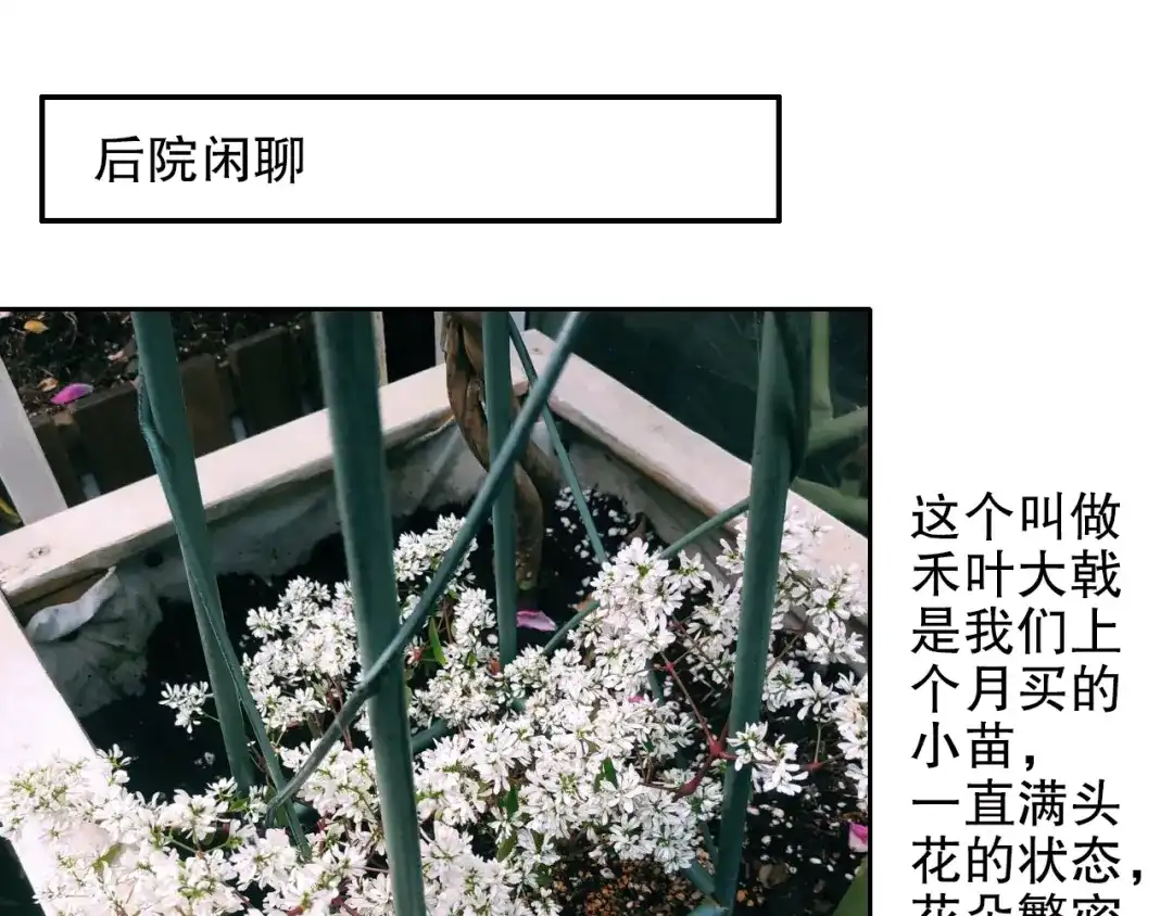 《山神与小枣》第88回 让自己开心有什么错? 第80页