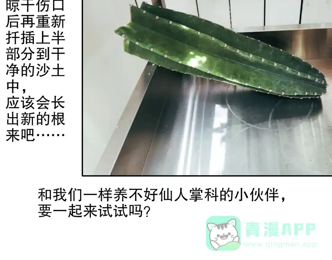 《山神与小枣》第88回 让自己开心有什么错? 第86页