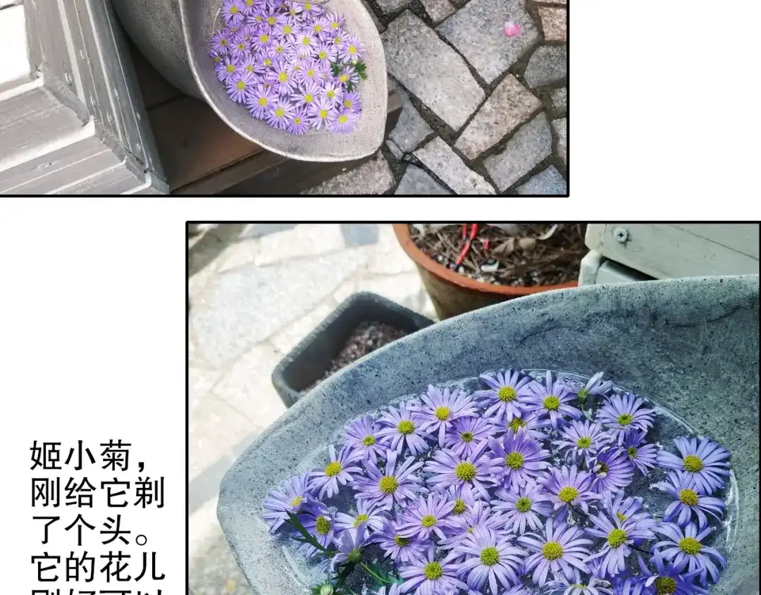 《山神与小枣》第88回 让自己开心有什么错? 第83页