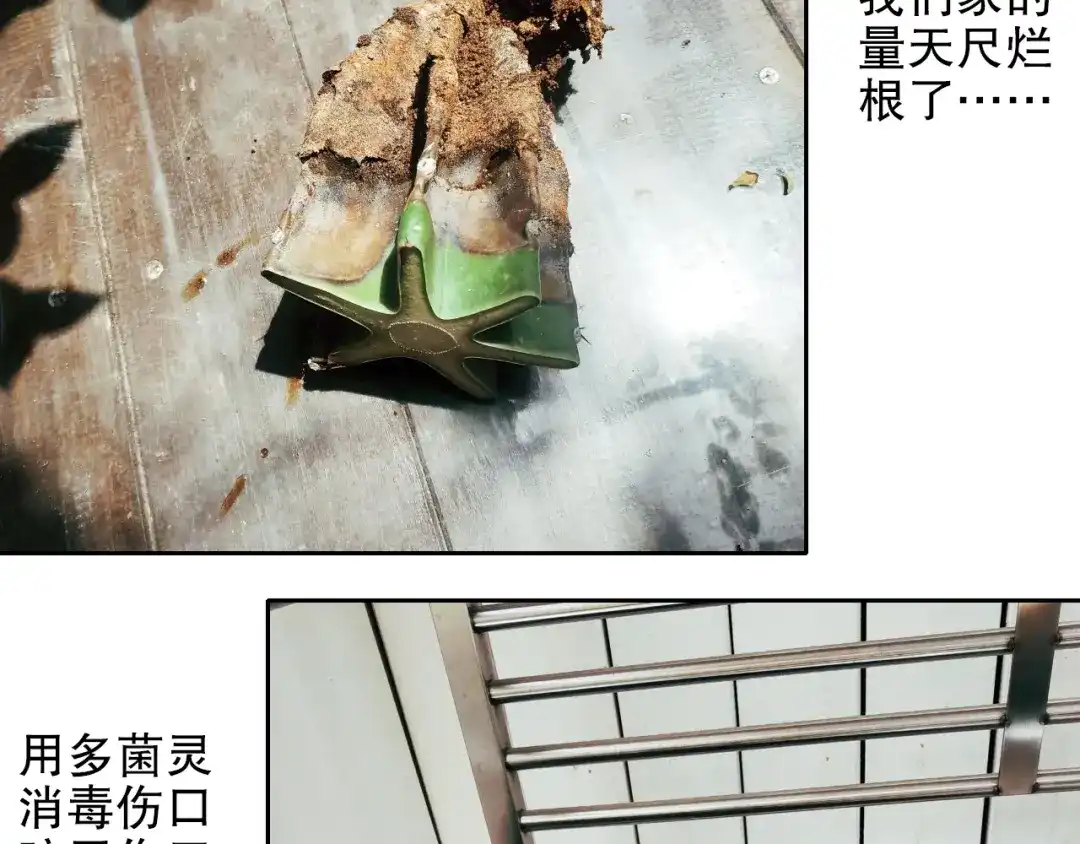 《山神与小枣》第88回 让自己开心有什么错? 第85页