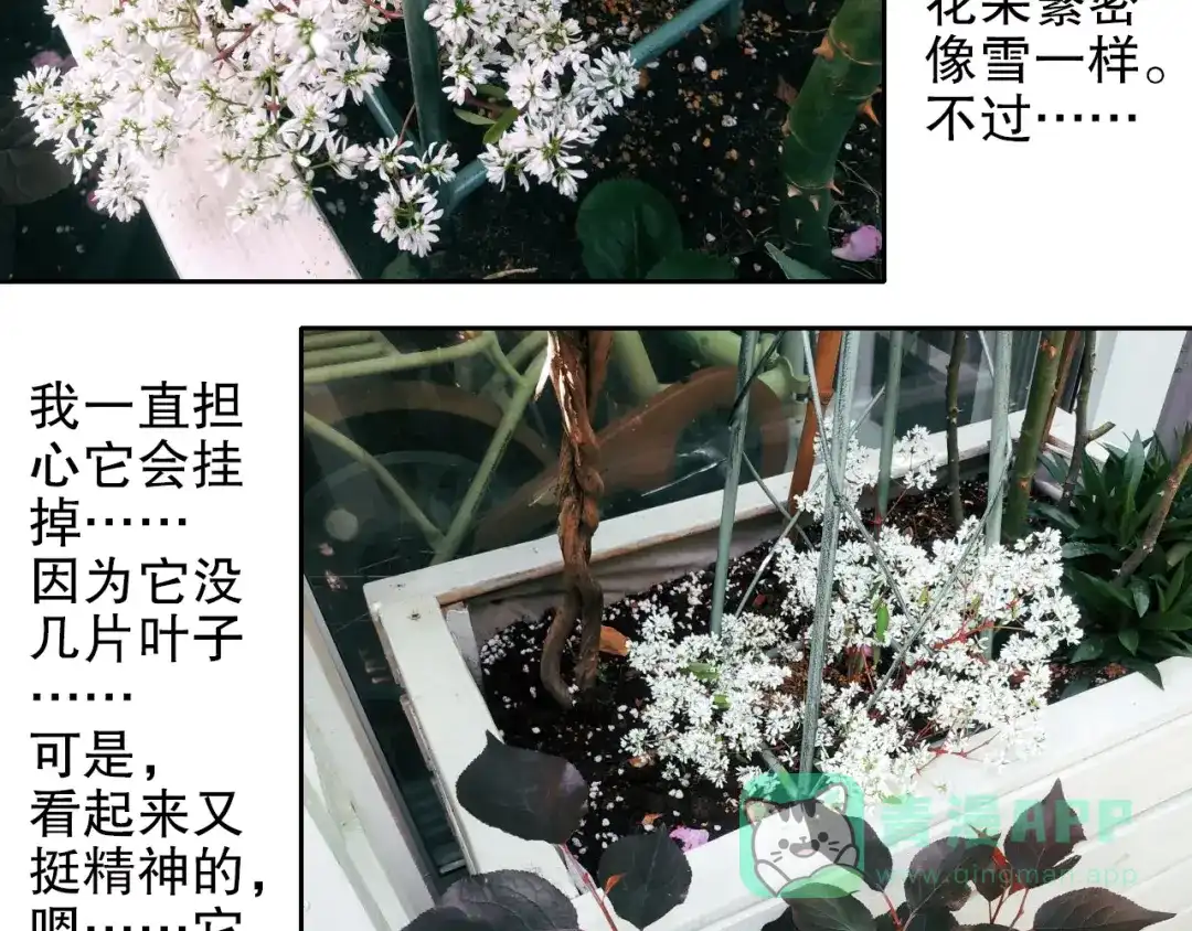 《山神与小枣》第88回 让自己开心有什么错? 第81页