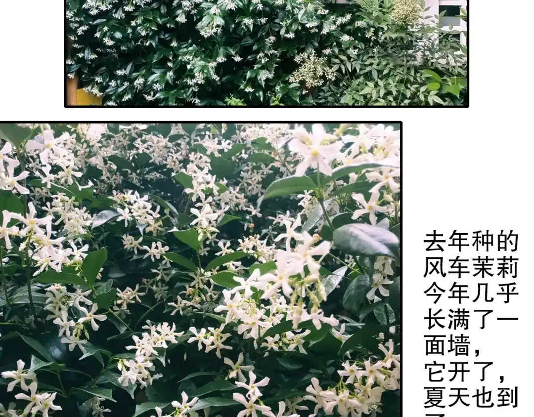 《山神与小枣》第89回 小枣变成长鳞片的怪物 第84页